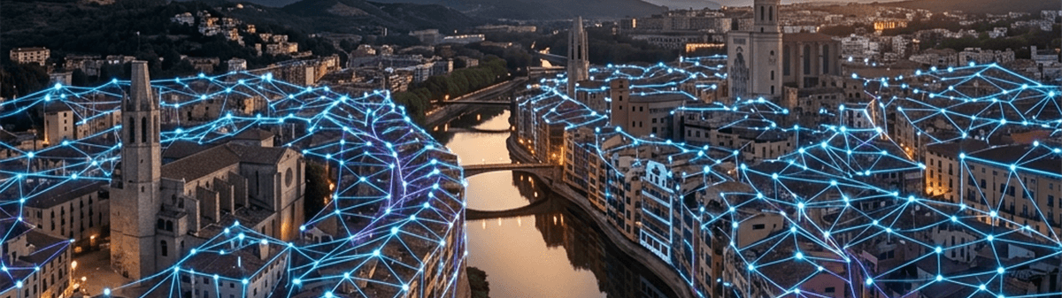 Consultoria Navision i Business Central a Girona